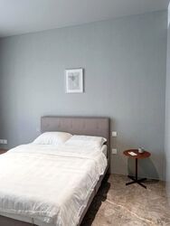 Cuscaden Reserve (D10), Condominium #639490041